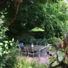 Edge Of The Forest