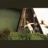 The Green Elephant