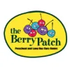Berry Patch