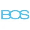 BOS Realty