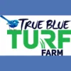 True Blue Turf