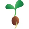Seed Websites & Digital