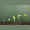 ADE Consulting Group