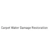 Wet Carpet Cleaners