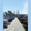 Vinsan Salvage