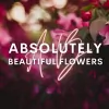 Absolutely Beautiful Flowers