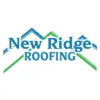 New Ridge Roof Restoration