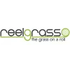 Reelgrass Australia