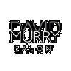David Murry Salon