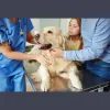 Kingsley Veterinary Hospital