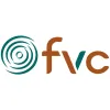 Focused Vision