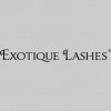 Exotique Lashes