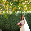 Shady Hill Luxury Flowers