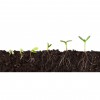 Earthwise Environmental