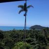 Cape Tribulation Sanctuary