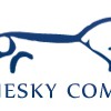 Bluesky Comms