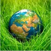 Rivturf Instant Lawn