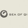 Sea of Qi