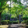 Grow Horticulture