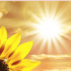 Valhalla Counselling