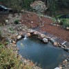 Flo Gardens