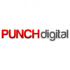 PUNCH Online: Way To Your Business Success