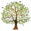 The Holistic Sanctuary & Herbal Clinic