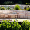 Synergy Gardens