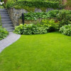 Aaron's Landscape Solutions