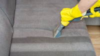 Upholstery Cleaning