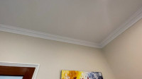 Ceiling Repair & Painting