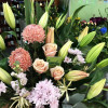 Bunches Florist