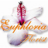 Euphloria Florist