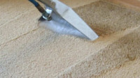 Carpet Steam Cleaning