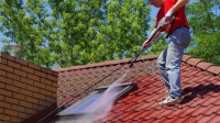 Roof Cleaning
