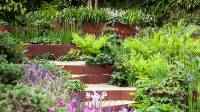 Landscaping and Outdoor