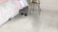 Laminate Flooring Installation